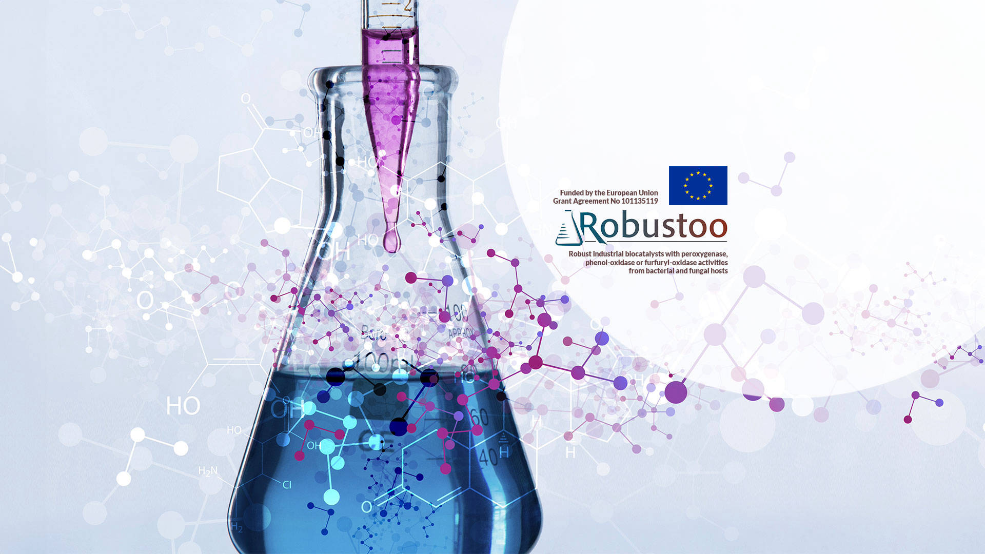 Robustoo