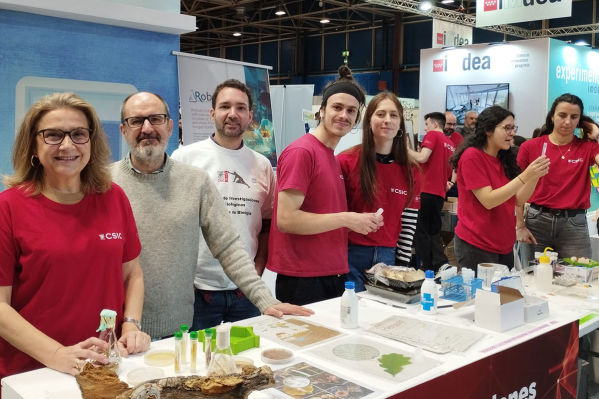 ROBUSTOO at Madrid es Ciencia 2025
